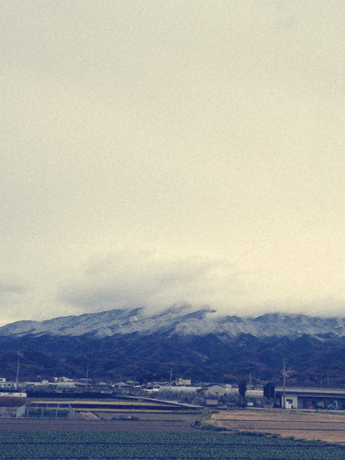 雪